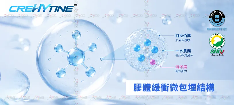 製程附圖